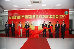 中國農(nóng)業(yè)科學院油料作物研究所如何高效選擇武漢稅務(wù)代理服務(wù)